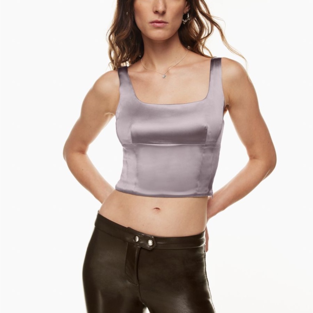 NWT Aritzia Shine Bustier